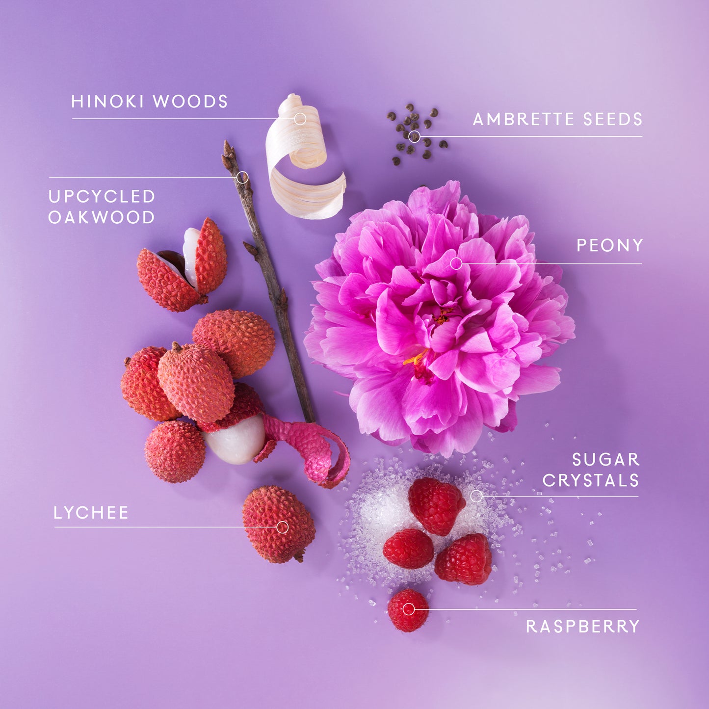 NEW! 11 11 Lychee Purse Spray