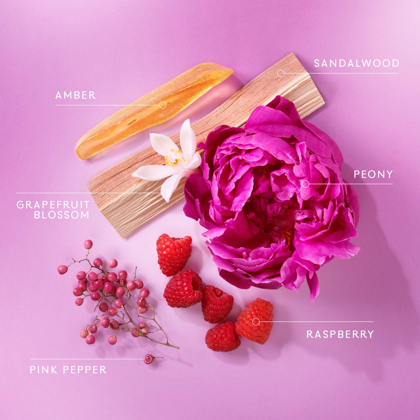 555 Wild Berry + Amber Hair & Body Mist Sample