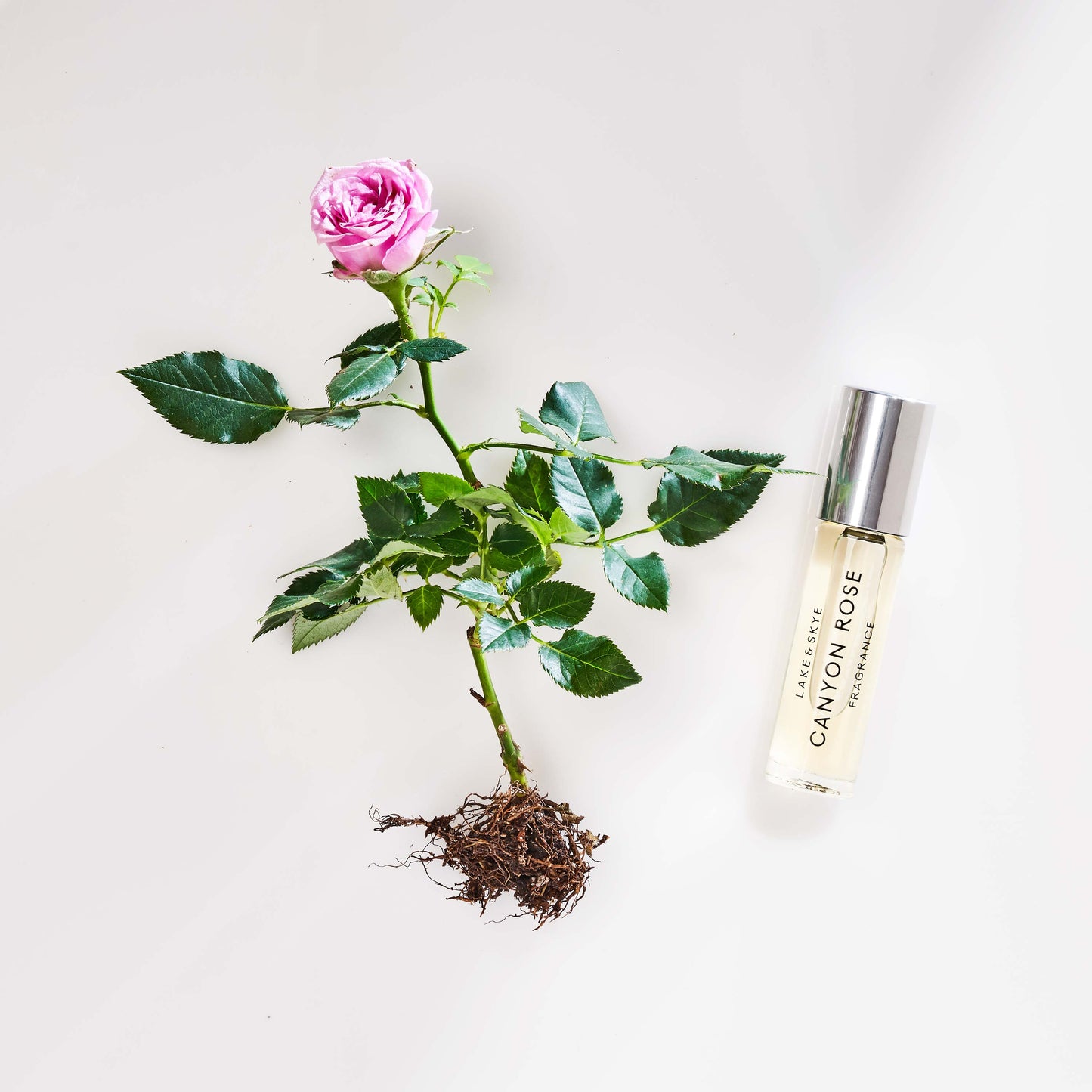 Canyon Rose Fragrance Oil Rollerball