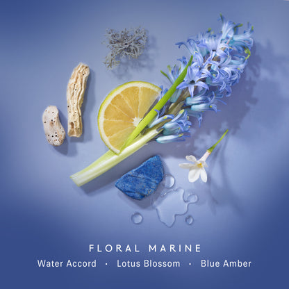 11 11 Azure Fragrance Oil Rollerball