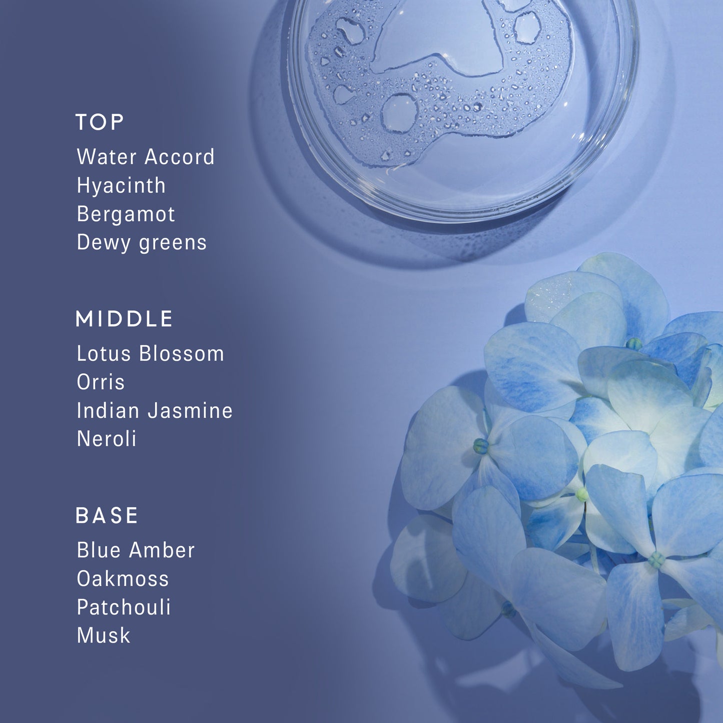 11 11 Azure Fragrance Oil Rollerball